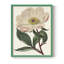 «Pink Floral Mix VII», reproduction encadrée - bois massif-947668014-947668006