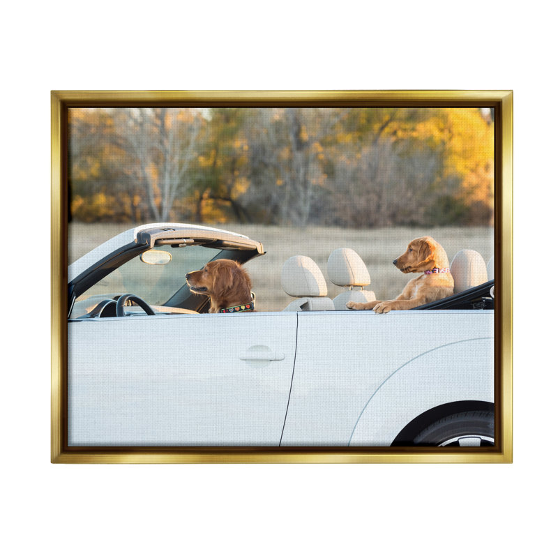 Ba-359-Floater Dogs Drive Convertible, reproduction d'art sur toile, Cadre flottant métallique doré