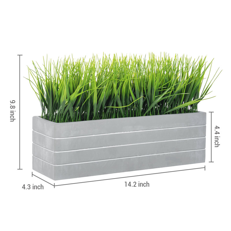 24.9cm Faux Herbs Grass in Cement Planter