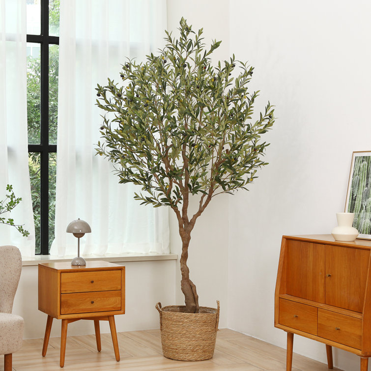 Primrue Adcock Artificial Olive Tree In Pot Faux Olive Plant, Fake Olive  Tree for Home Decor & Reviews