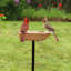 Bain d'oiseaux Brander-1041282362