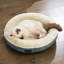 Orthopedic Polyester Pet Bed-113660547-128874418