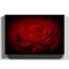 Flower Red Rose Photographic - Wrapped Canvas-19041431