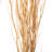 Seaford Willow Branches-737913346-737890572