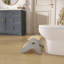 Escabeau polyvalent avec base antidérapante Jpma Certified Dream On Me Skyward-122726594