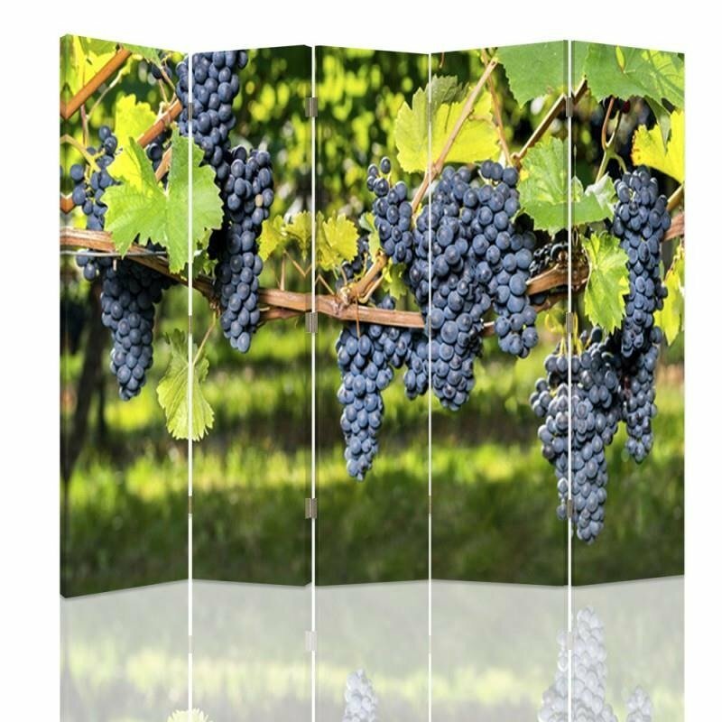 Raumteiler Dark Grapes mit 5 Paneelen