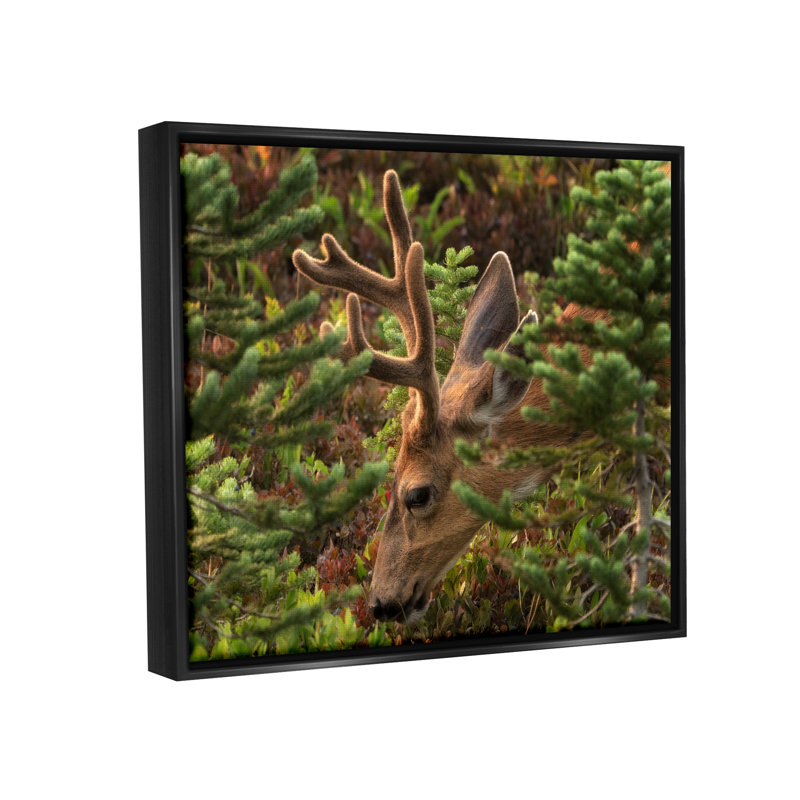 Art mural sur toile flottante Miller, Cadre flottant noir de jais, H 17 po x l 21 po x P 1,7 po