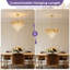 Lustre tambour en cristal 8 lumières