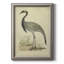 Morris Crane II - peinture sur toile encadrée-1076091534