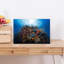 Vibrant Coral Reef Colorful Vibrant Fish Nature Ocean Wall Art Print 1 Piece Wrapped Canvas Wall Art-419915507