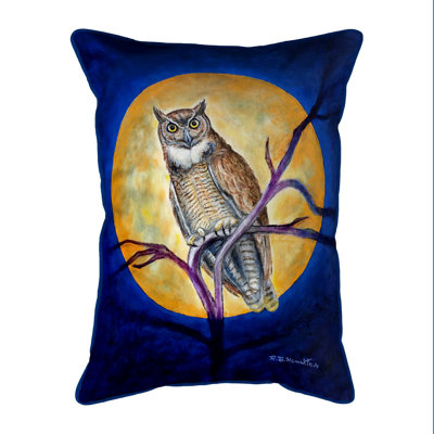 Owl in Moon Outdoor Rectangular Pillow Cover & Insert
