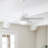 46" Anslee Standard Ceiling Fan with Pull Chain and Light Kit Included-17799238