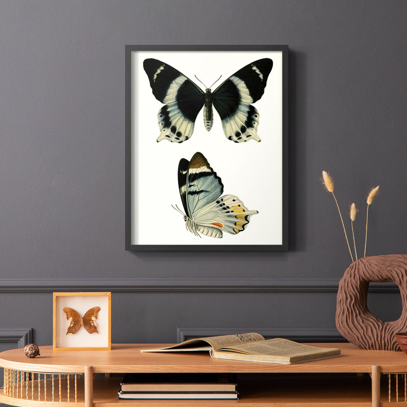 «Antique Blue Butterflies I», reproduction encadrée - bois massif, Noir, H 28 po x l 22 po