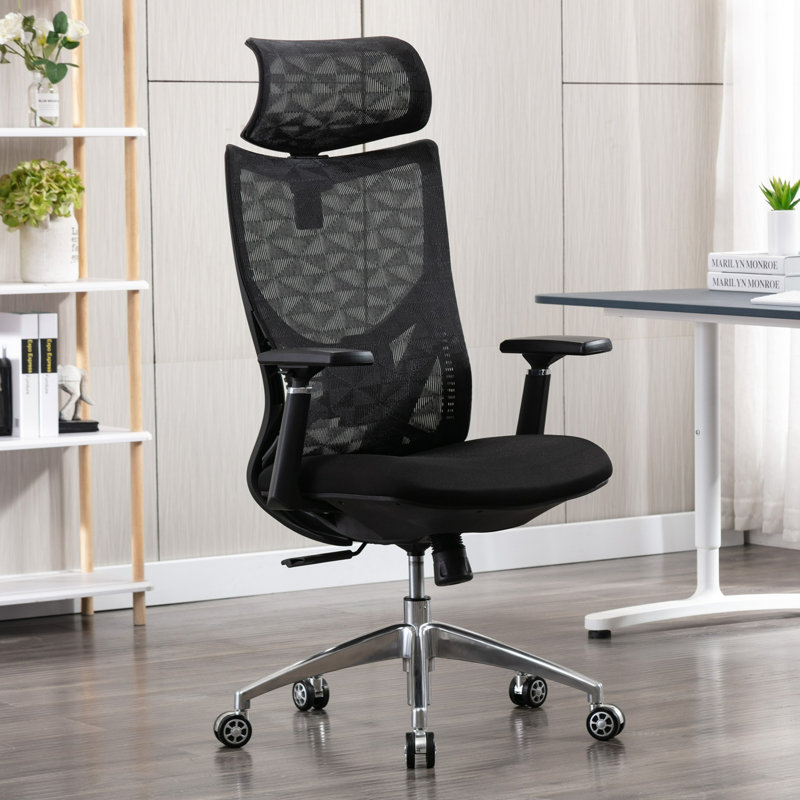 Chaise de travail ergonomique Arunya, Noir
