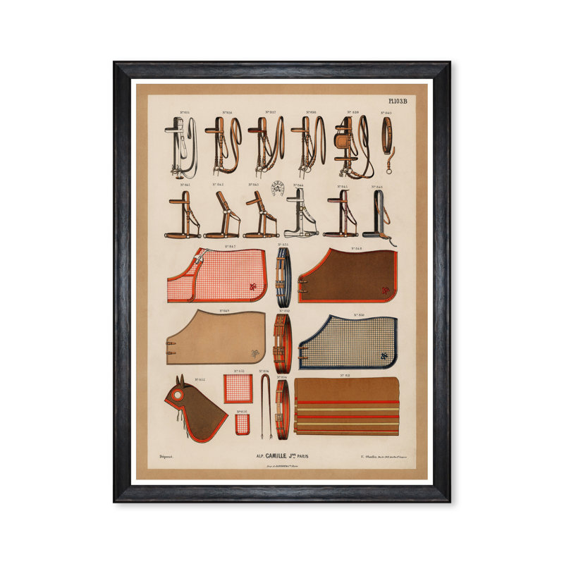 THE RIDING EQUIPMENT II