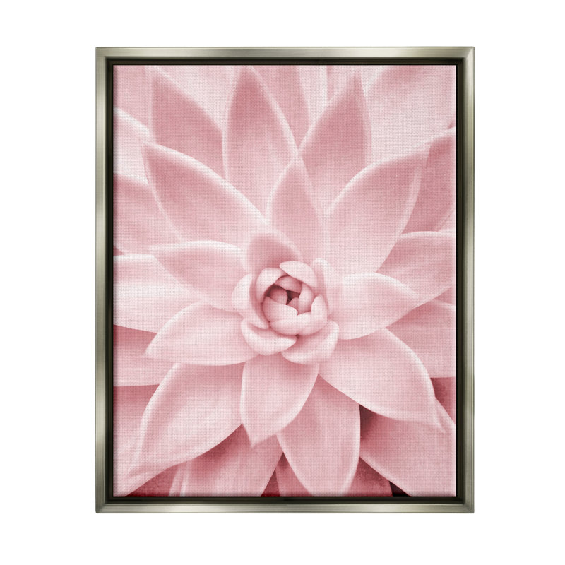 "Latitude Run®", rose pastel, plante grasse encadrée par Sissi et Seb, H 21 po x l 17 po x P 1,7 po