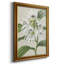 Toile encadrée Orchid Blooms III-446346679