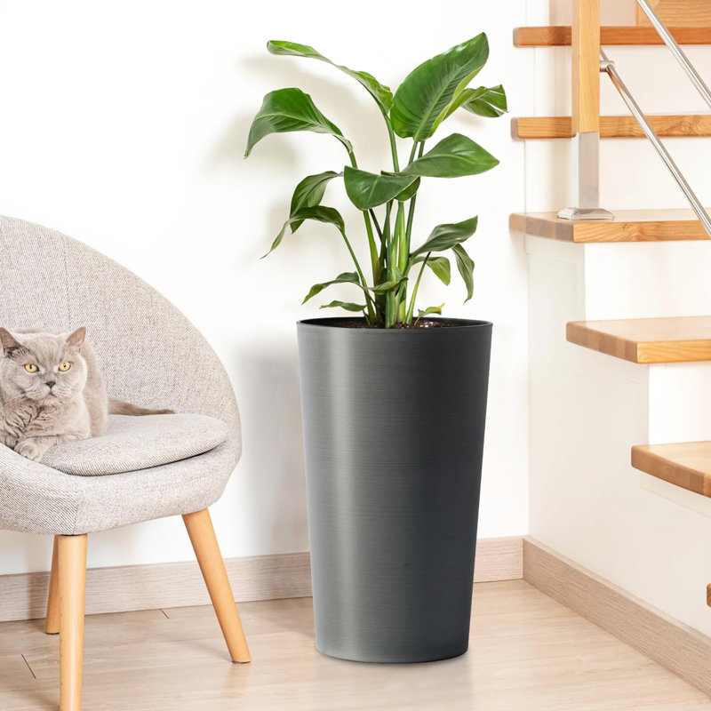 Boîtes à fleurs grises 21,7 pouces, lot de 2, en polypropylène, -, pour jardin et bureau, grand gris