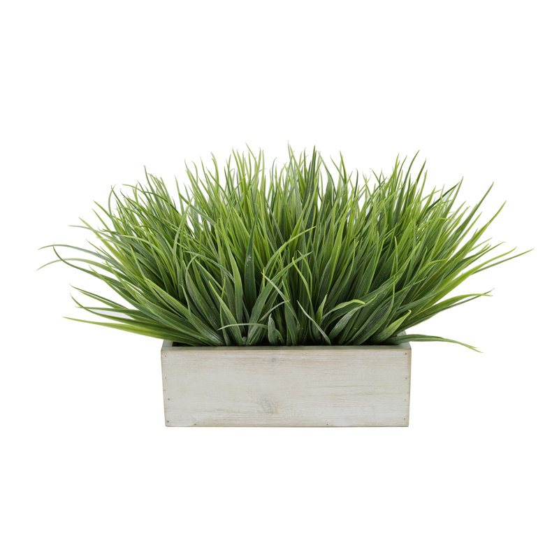 Herbe d'oignon artificielle en pot, Vert pâle, Blanc, H 9 po x L 15 po x P 10 po