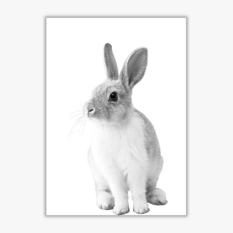 Bunny - Print, 60 cm H x 42 cm W x 1 cm D, No Frame