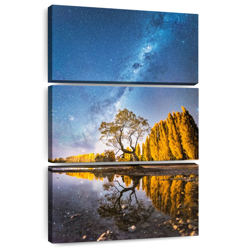 Oberle Milky Way Over Wanaka Tree, 32" H x 20" W