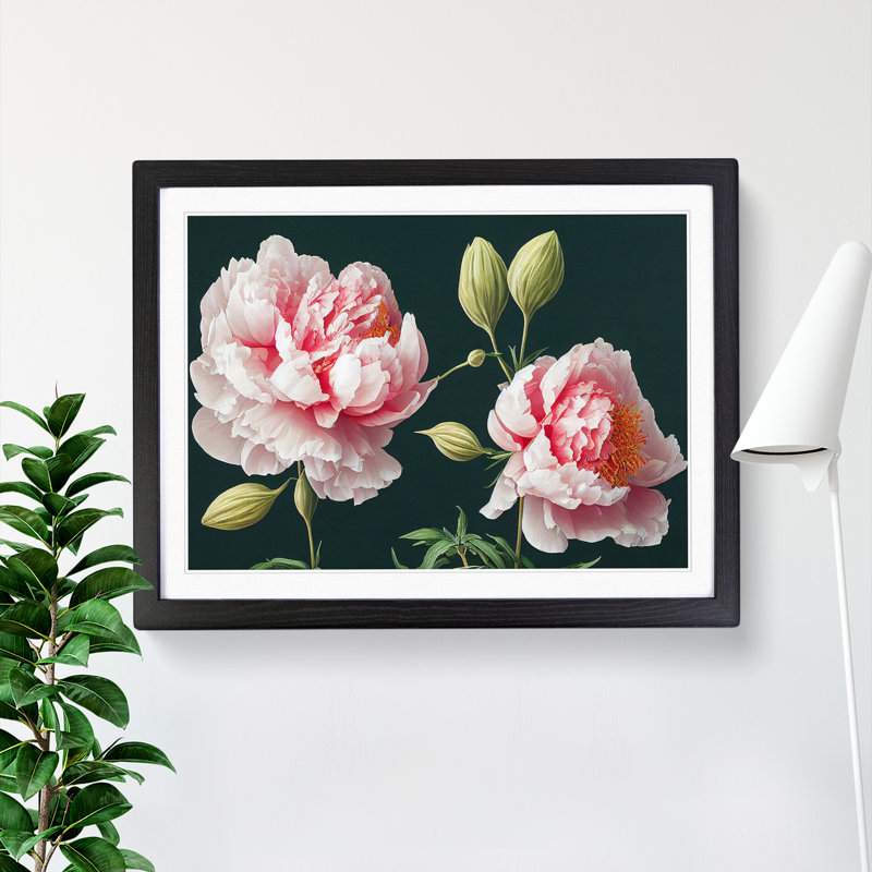 Fascinating Peony Flowers 1 Piece Single Picture Frame Wall Art, 34cm H x 46cm W x 2cm D, Black Framed