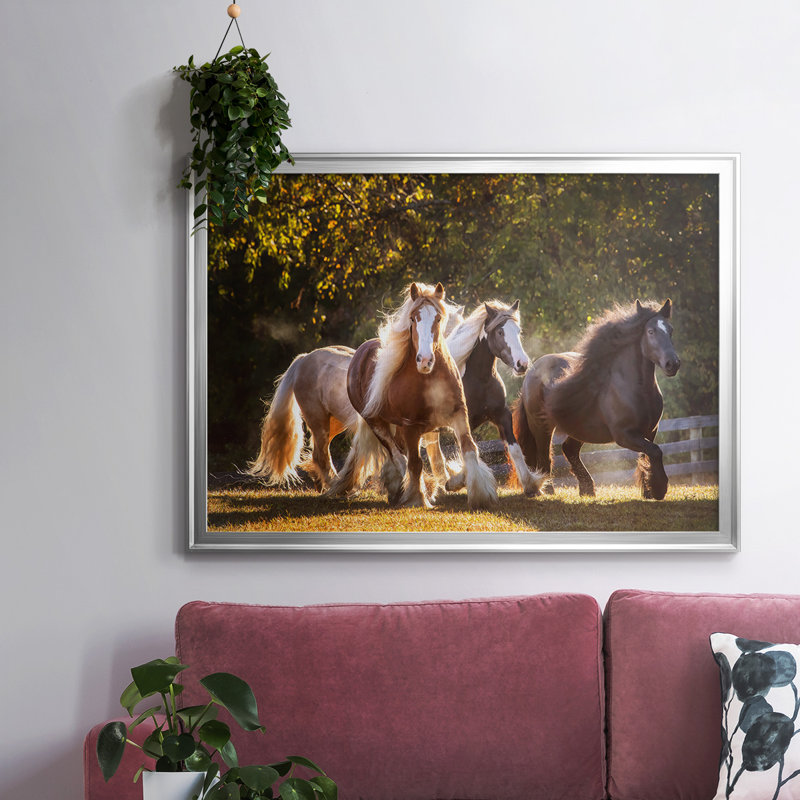 Sunlit Horses III, reproduction d'art sur toile encadrée, H 30 po x l 44 po x P 1,5 po, Argent