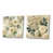 Toile tendue