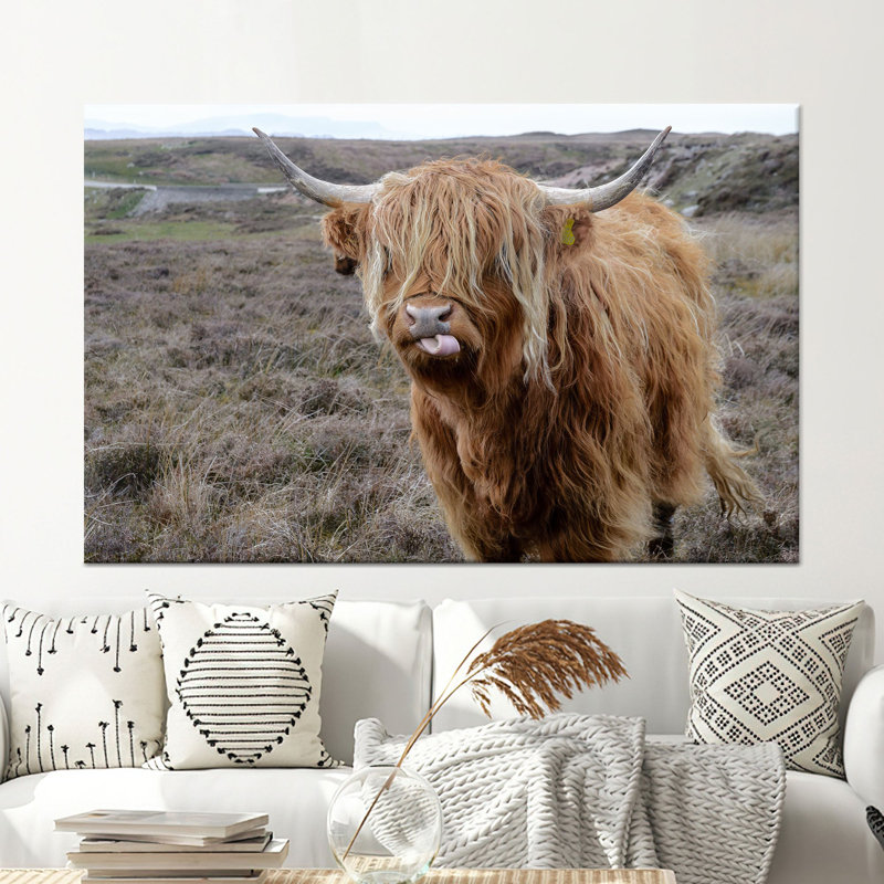 Reproduction d'art sur toile imprimée: Highland Cattans in Scottish Landscape, 1P BlackFramedCanves, 27,6 po H x 39,4 po l