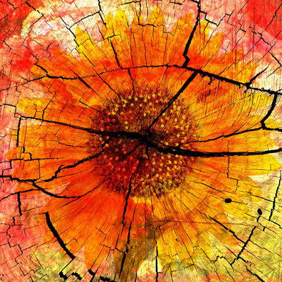 Parvez Taj - Wrapped Canvas Print