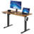 Lamin Adjustable Height Steel Standing Desk-102907651