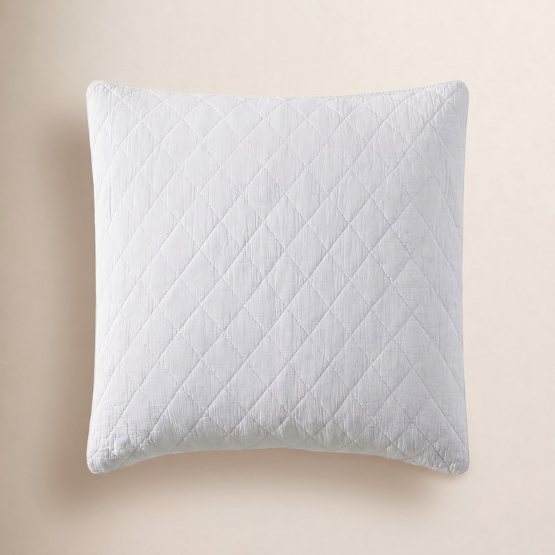Stonewashed Cotton Gauze Solid Color Classic Casual Modern Rustic Pillow Sham, Standard/Twin, Vintage White