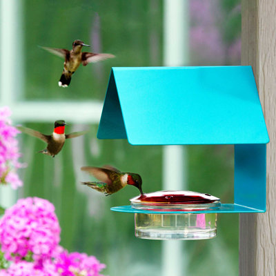 Dieguez Cottage Hummingbird Feeder