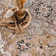 Briawood Oriental Indoor Rug