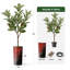 Arbre artificiel en fleur noire et blanche-104345532
