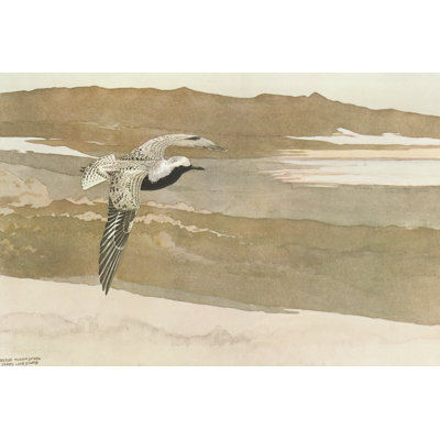 Soaring by George Sutton - Wrapped Canvas Print