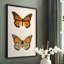 «Vintage Animal Print XXII», reproduction encadrée sur papier-796735715-796735713