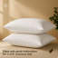 Opulent Home Ultra Soft Striped Pillow – Breathable Microfibre Cover Bed Pillows | Soft Medium (Back Sleepers) & Medium Firm (Side Sleepers) | Packs of 1, 2 & 4-902477765-902477768