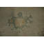 Tapis oriental Ziegler 7 x 10