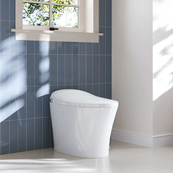 https://assets.wfcdn.com/im/40192713/resize-h600-w600%5Ecompr-r85/2475/247553350/Metis+Smart+Bidet+Toilet%2C+Elongated+Comfort+Height+with+Room+Temp+Wash%2C+Foot+Sensing+Flush.jpg