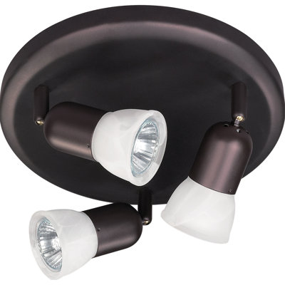 Adira Glass Spotlight