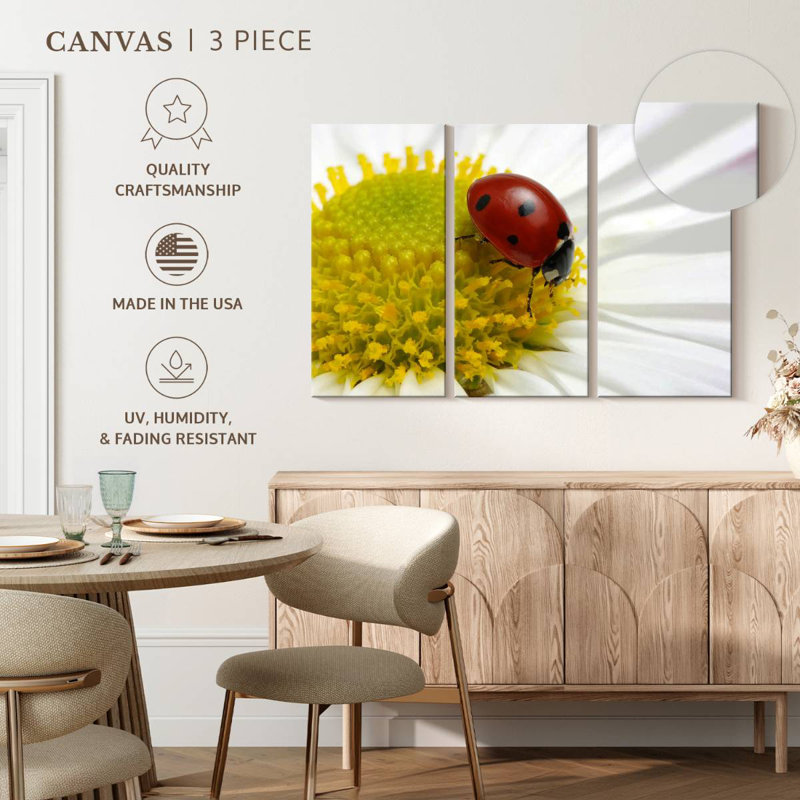 Coccinelle sur camomille, H 20 po x l 33 po