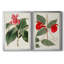 Flora Of The Tropics I - 2 Piece Single Picture Frame Print Set on Canvas-1216823030-1216823031
