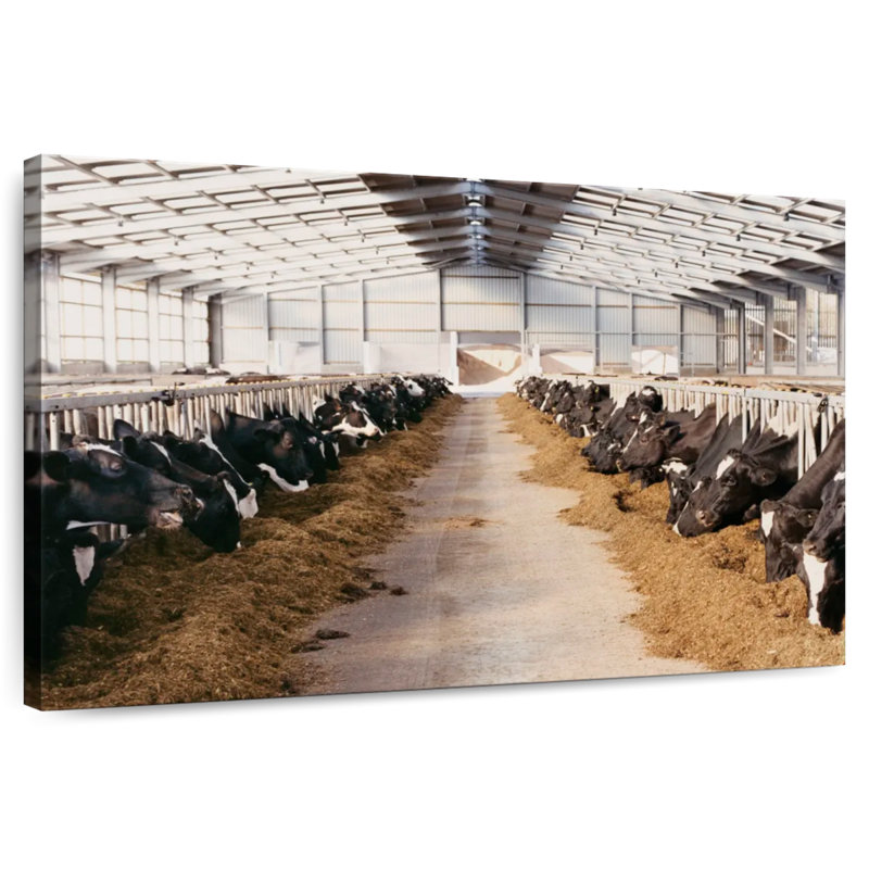 Barn Cows, 16" H x 24" W