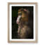 Mandrill Monkey in Abstract - Framed Print-55770788-55770790