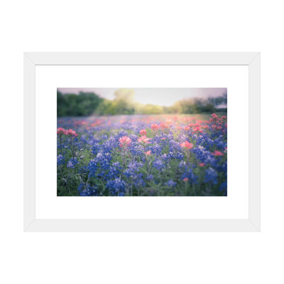 " Texas Bluebonnets " by Ann Hudec