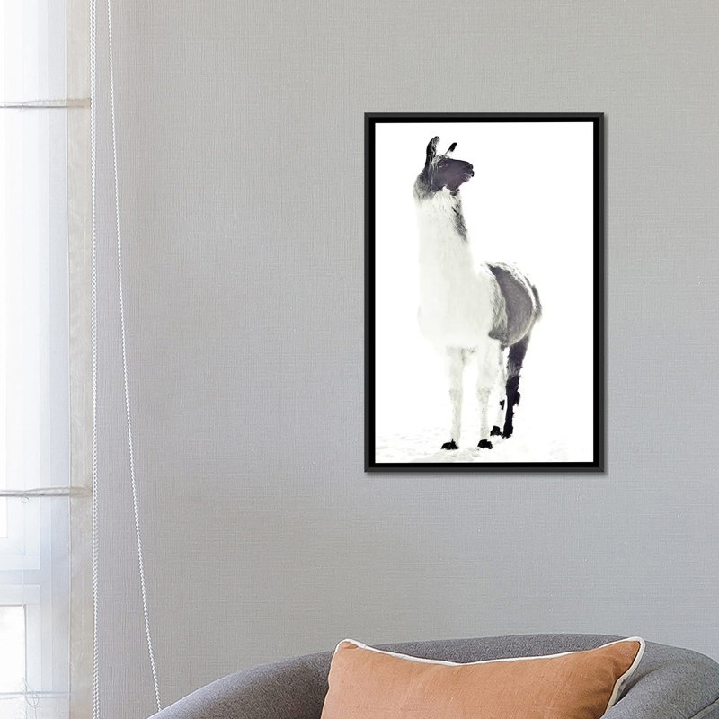 «Fluffy Llama» par Monika Strigel - impression d'art graphique, Non mat, H 26 po x l 18 po x 1,5 po, Toile avec cadre noir