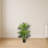 Paradise Palm Artificial Tree