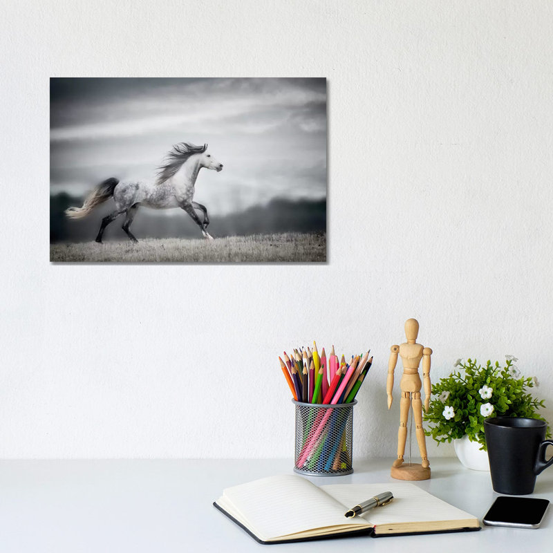 Wind Blown Mane II by PHBurchett - Wrapped Canvas Print, 20.32 cm H x 30.48 cm W