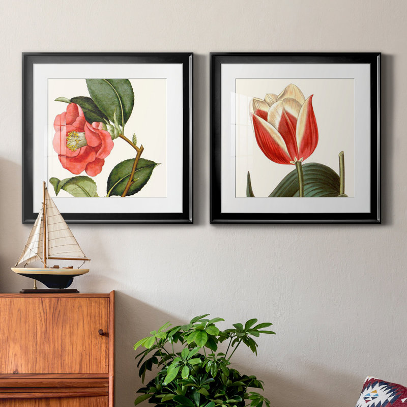 Ensemble de 2 reproductions de cadres photo Croped Antique Botanical III, H 17,5 po x l 35 po x P 1,5 po, Papier encadré noir